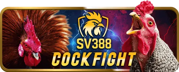 Trải nghiệm người dùng vượt trội 84win App